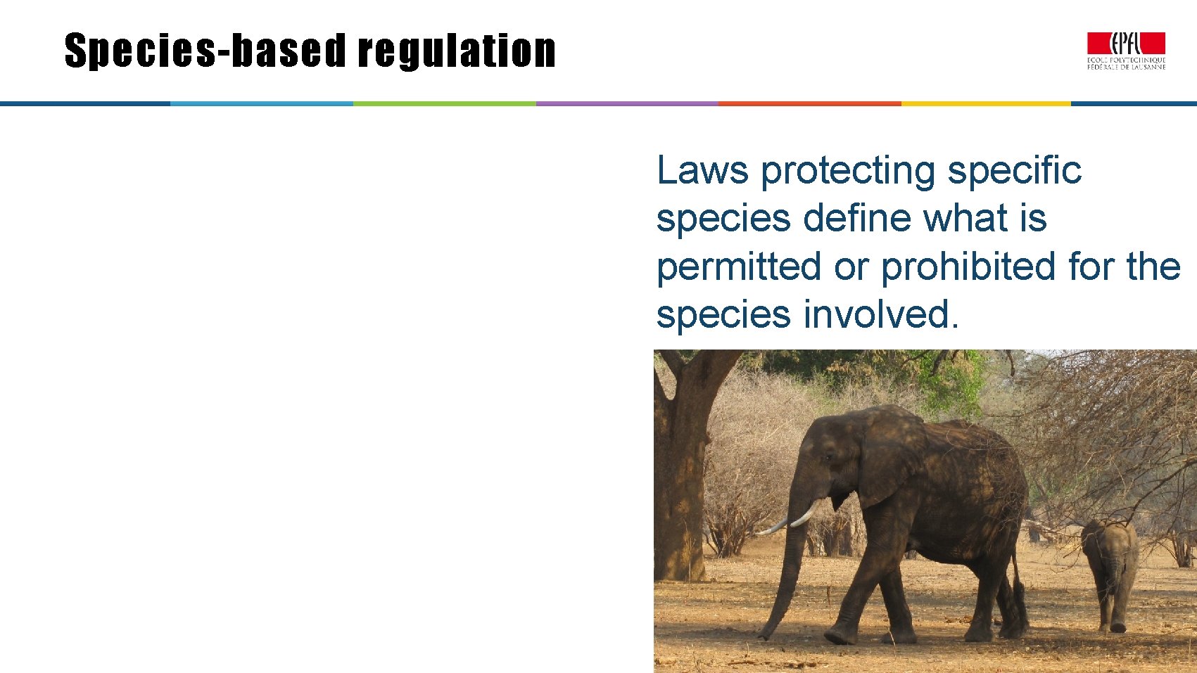 Species-based regulation Laws protecting specific species define what is permitted or prohibited for the