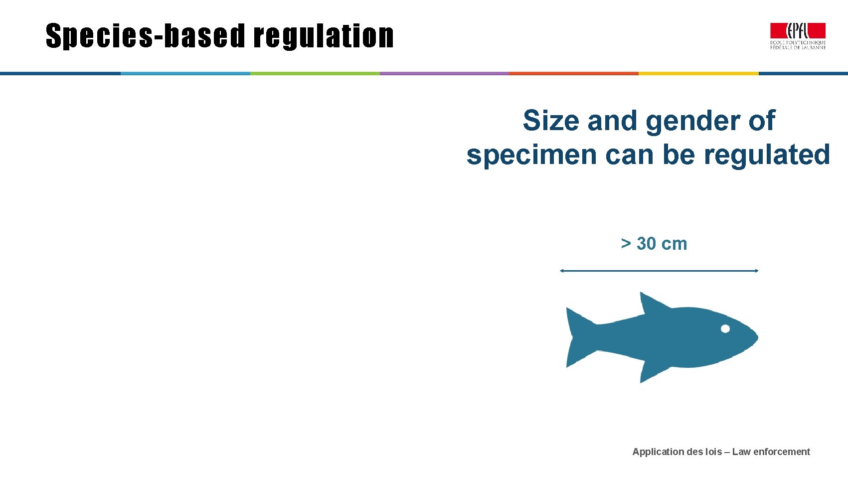 Species-based regulation Size and gender of specimen can be regulated > 30 cm Application