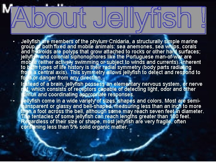  • • • Jellyfish are members of the phylum Cnidaria, a structurally simple