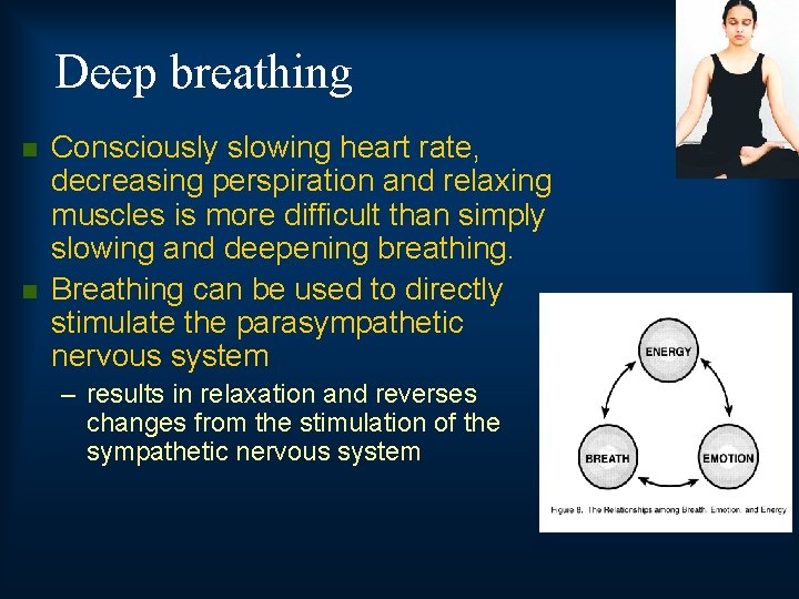 Deep breathing n n Consciously slowing heart rate, decreasing perspiration and relaxing muscles is
