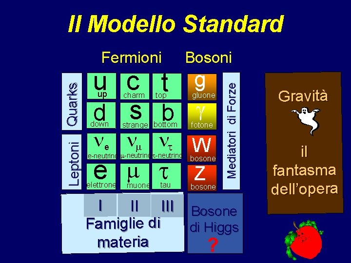 Il Modello Standard Bosoni u c t g d s b g up down