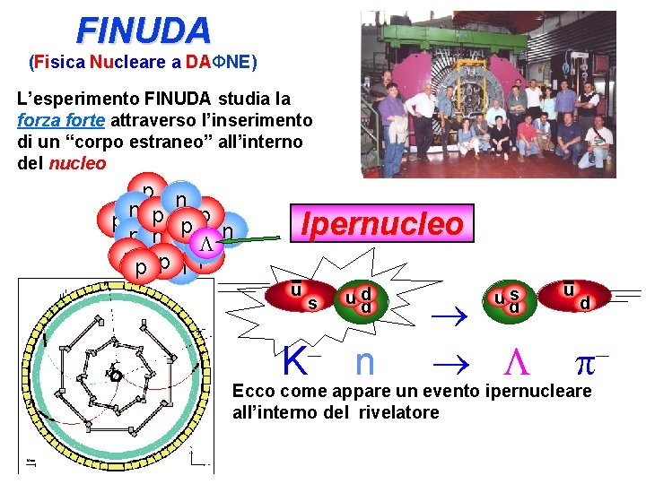 FINUDA (Fisica Nucleare a DAΦNE) L’esperimento FINUDA studia la forza forte attraverso l’inserimento di