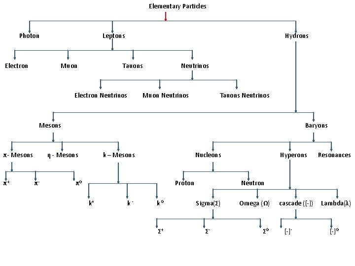 Elementary Particles Photon Electron Leptons Muon Tauons Hydrons Neutrinos Electron Neutrinos Muon Neutrinos Tauons