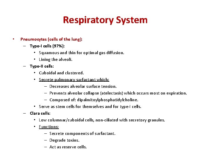 Respiratory System • Pneumocytes (cells of the lung): – Type-I cells (97%): • Squamous