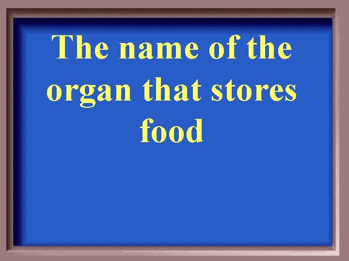 The name of the organ that stores food 