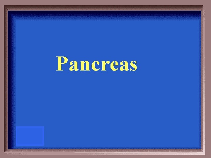 Pancreas 