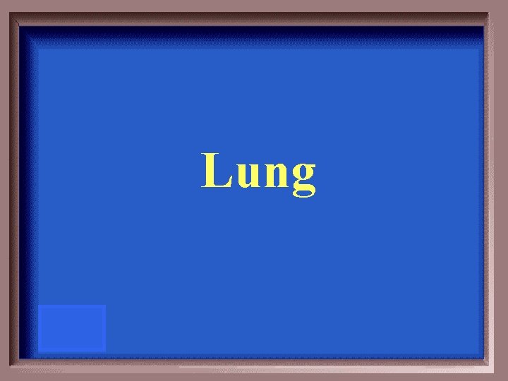 Lung 