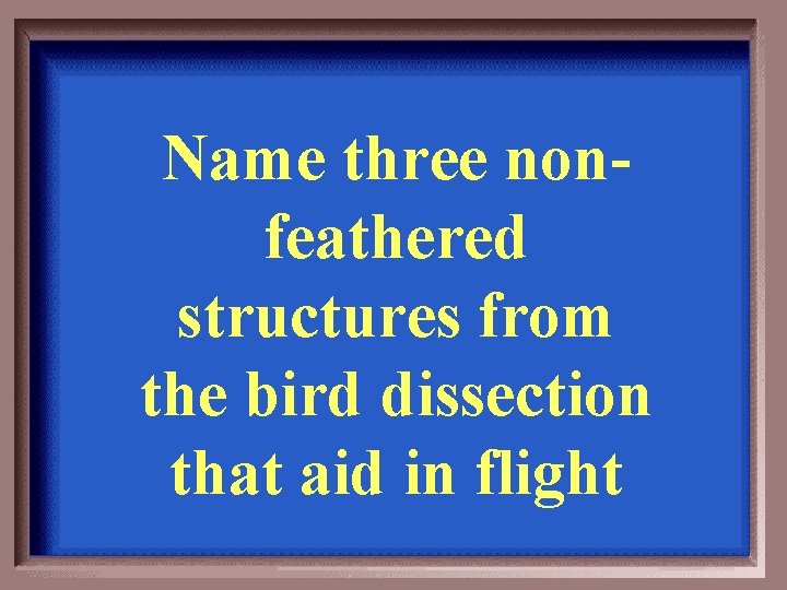 Name three nonfeathered structures from the bird dissection that aid in flight 