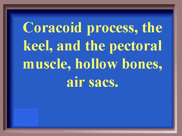 Coracoid process, the keel, and the pectoral muscle, hollow bones, air sacs. 