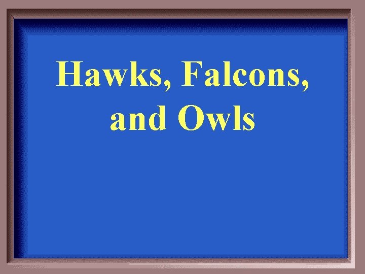 Hawks, Falcons, and Owls 
