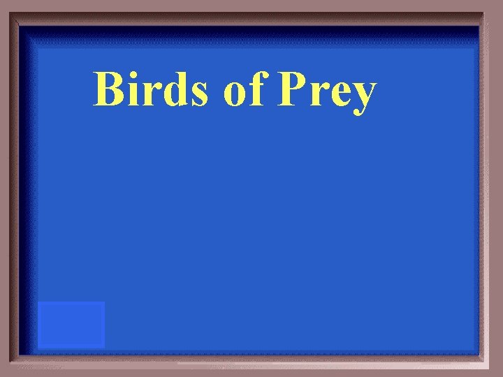 Birds of Prey 
