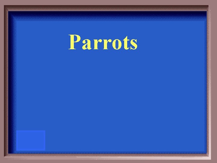 Parrots 
