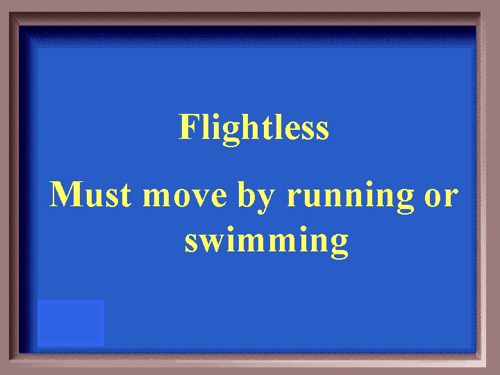 Flightless Must move by running or swimming 