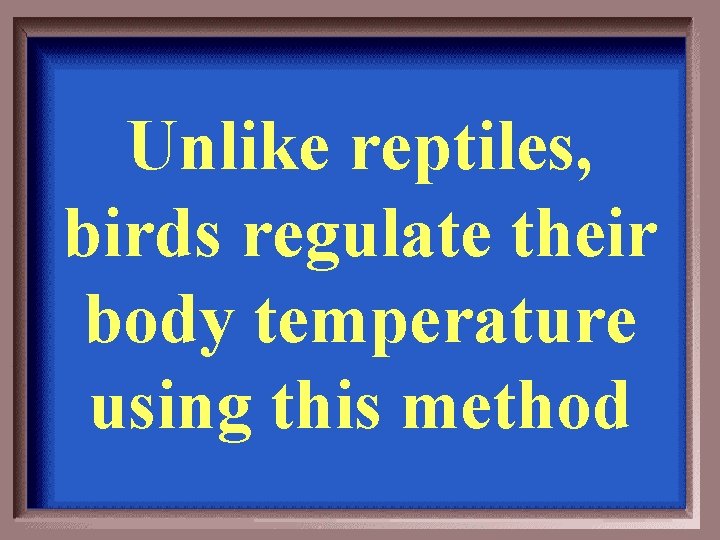 Unlike reptiles, birds regulate their body temperature using this method 