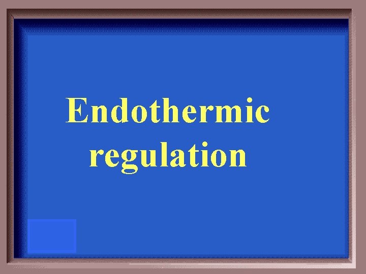 Endothermic regulation 