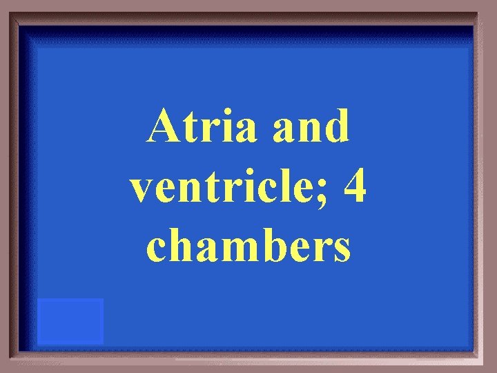 Atria and ventricle; 4 chambers 