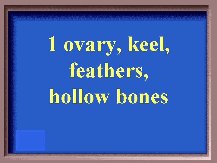 1 ovary, keel, feathers, hollow bones 