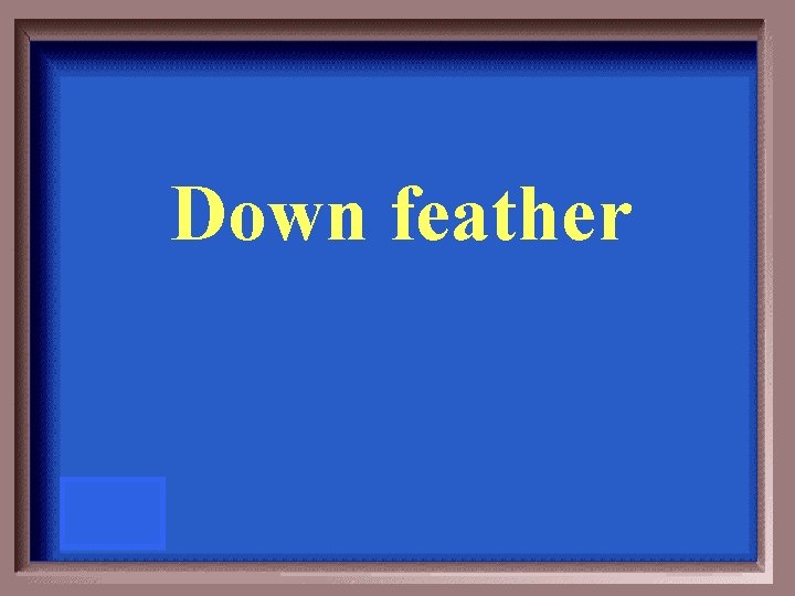 Down feather 