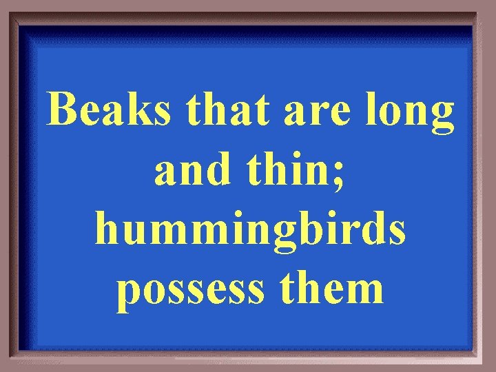 Beaks that are long and thin; hummingbirds possess them 