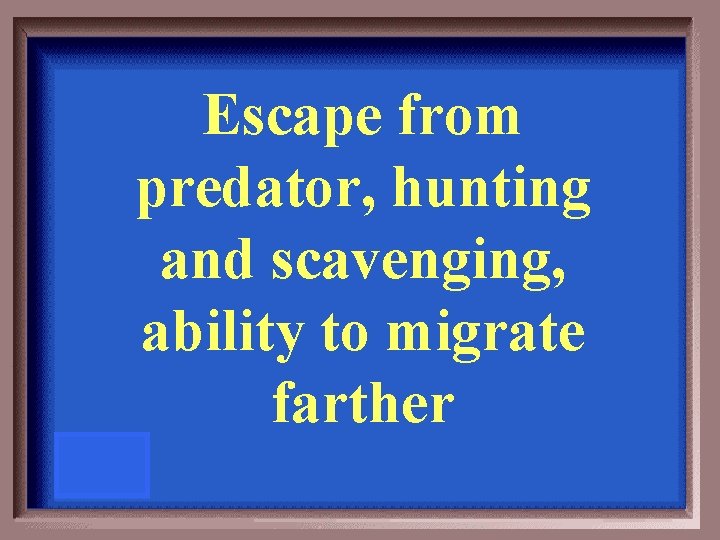 Escape from predator, hunting and scavenging, ability to migrate farther 