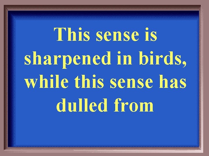 This sense is sharpened in birds, while this sense has dulled from 