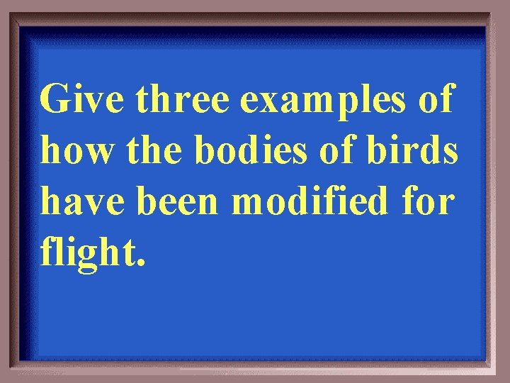 Give three examples of how the bodies of birds have been modified for flight.
