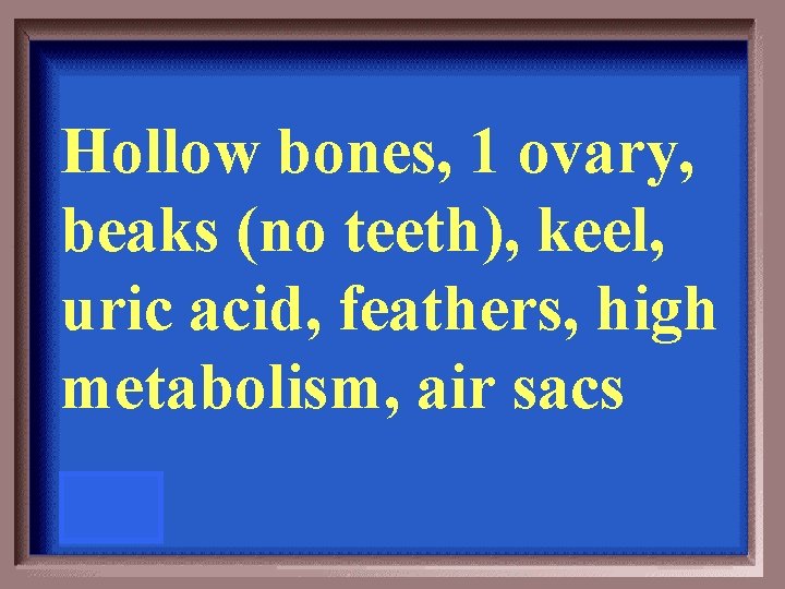 Hollow bones, 1 ovary, beaks (no teeth), keel, uric acid, feathers, high metabolism, air