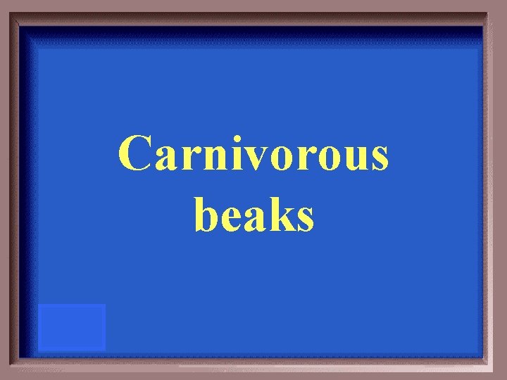 Carnivorous beaks 