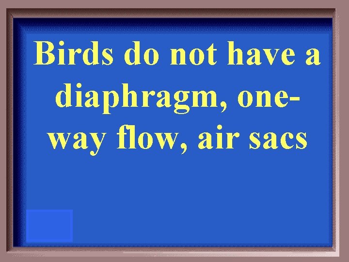 Birds do not have a diaphragm, oneway flow, air sacs 