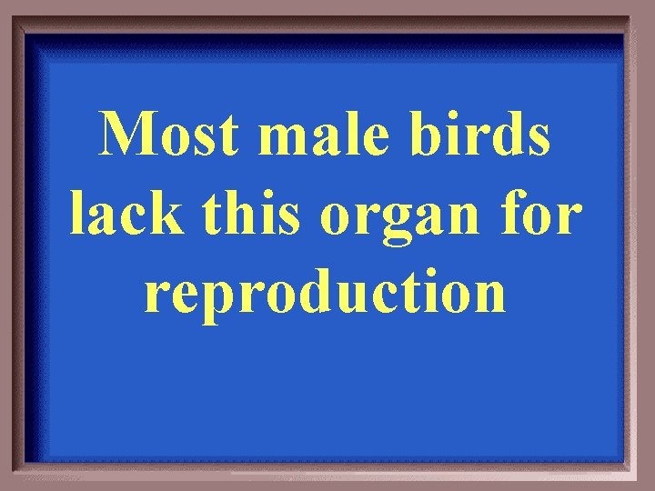 Most male birds lack this organ for reproduction 