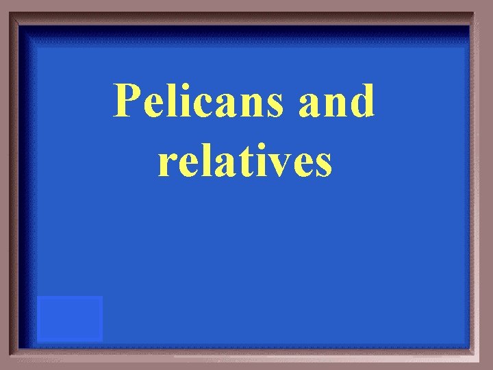 Pelicans and relatives 