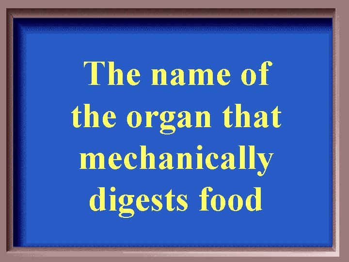 The name of the organ that mechanically digests food 
