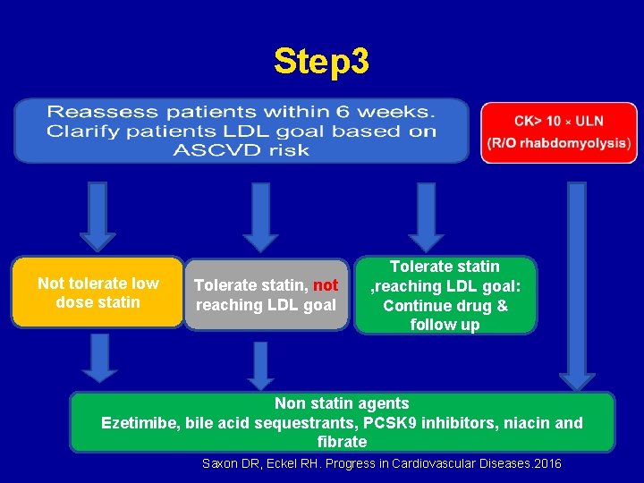 Step 3 Not tolerate low dose statin Tolerate statin, not reaching LDL goal Tolerate