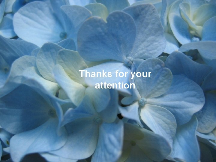 Thanks for your attention 