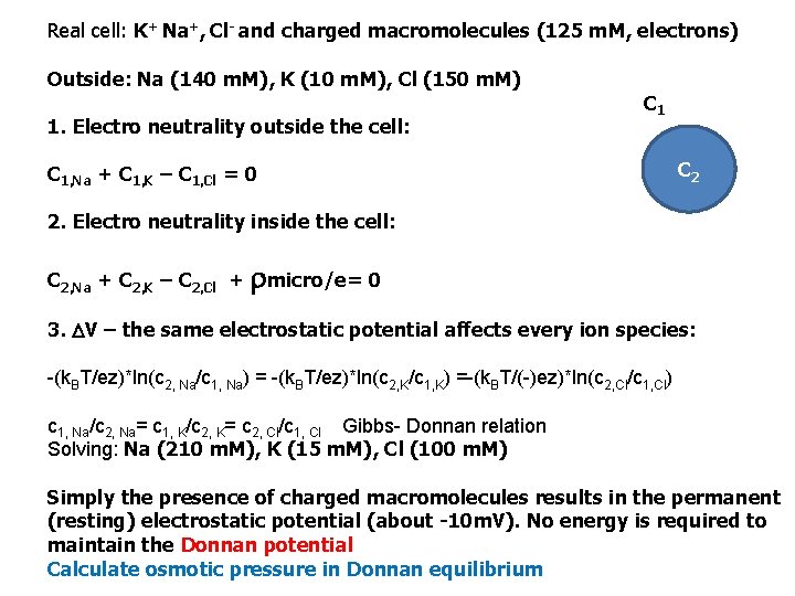 Real cell: K+ Na+, Cl- and charged macromolecules (125 m. M, electrons) Outside: Na