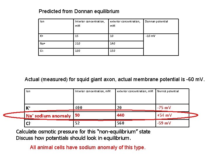Predicted from Donnan equilibrium Ion Interior concentration, m. M exterior concentration, m. M Donnan