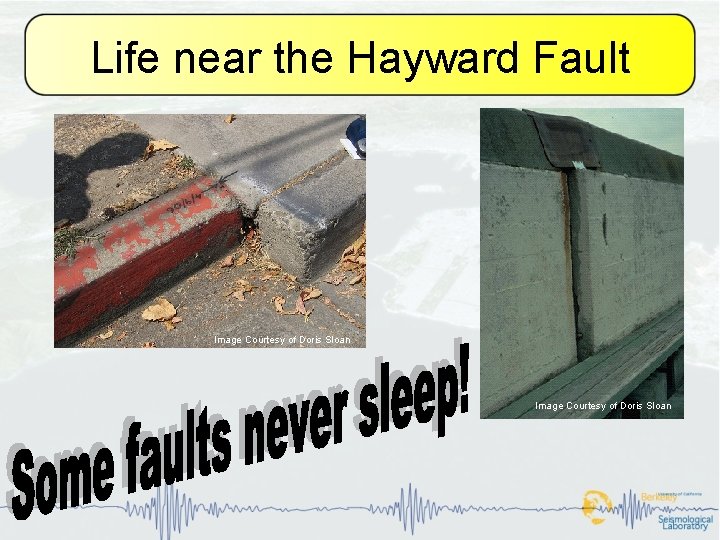 Life near the Hayward Fault Image Courtesy of Doris Sloan 