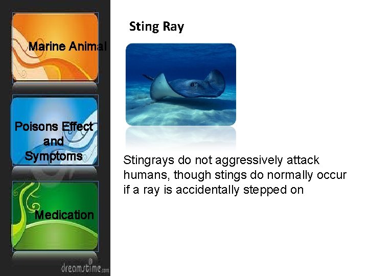Sting Ray Marine Animal Poisons Effect and Symptoms Medication Stingrays do not aggressively attack