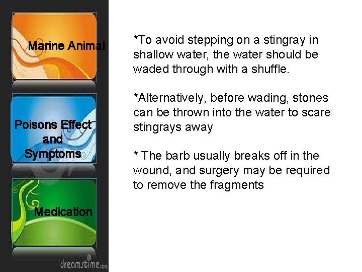Marine Animal Poisons Effect and Symptoms Medication *To avoid stepping on a stingray in