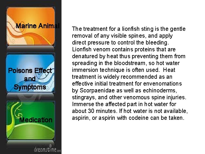 Marine Animal Poisons Effect and Symptoms Medication The treatment for a lionfish sting is