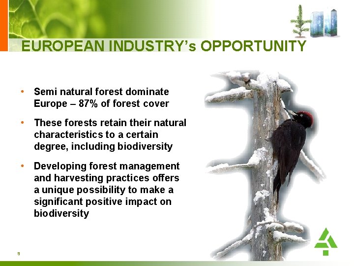 EUROPEAN INDUSTRY’s OPPORTUNITY • Semi natural forest dominate Europe – 87% of forest cover