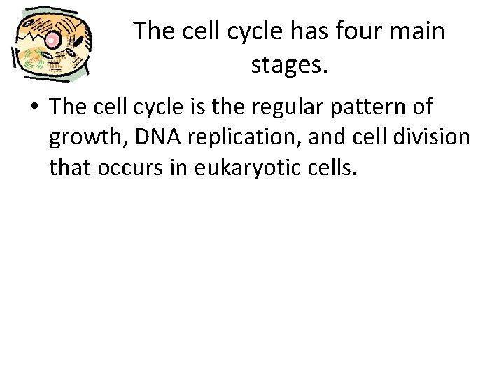The cell cycle has four main stages. • The cell cycle is the regular