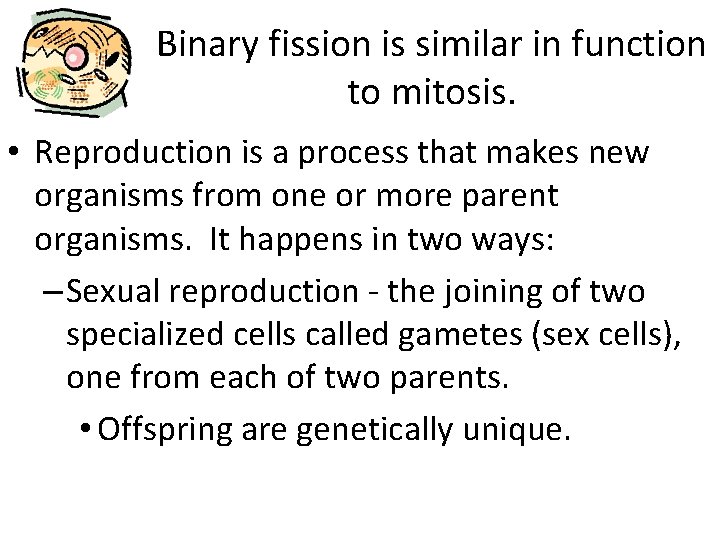 Binary fission is similar in function to mitosis. • Reproduction is a process that