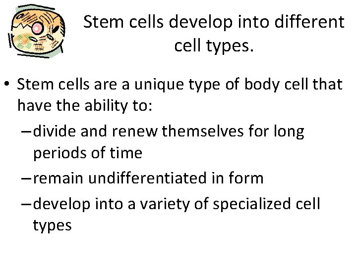 Stem cells develop into different cell types. • Stem cells are a unique type