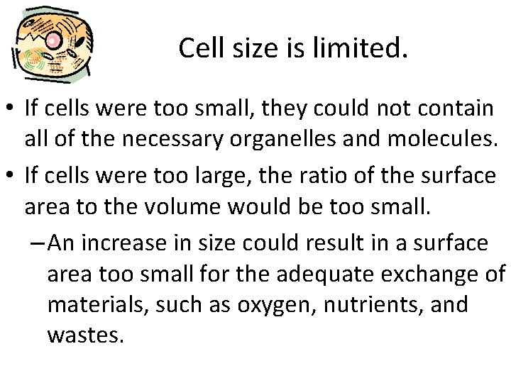 Cell size is limited. • If cells were too small, they could not contain