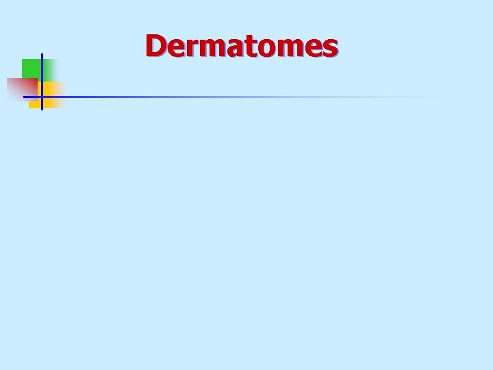Dermatomes 