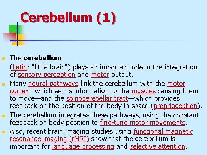 Cerebellum (1) n n The cerebellum (Latin: "little brain") plays an important role in