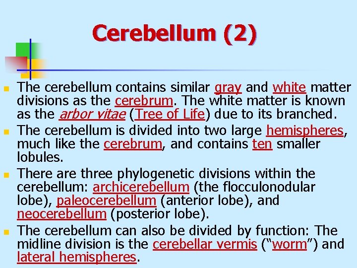 Cerebellum (2) n n The cerebellum contains similar gray and white matter divisions as