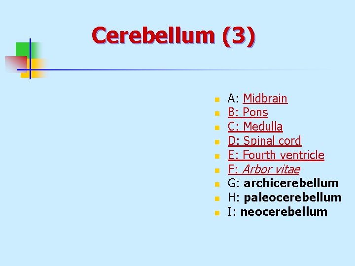 Cerebellum (3) n n n n n A: Midbrain B: Pons C: Medulla D: