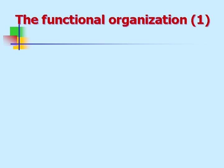 The functional organization (1) 
